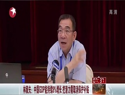林毅夫：中國(guó)GDP能持續(xù)8%增長(zhǎng) 挖潛力需取消保護(hù)補(bǔ)貼