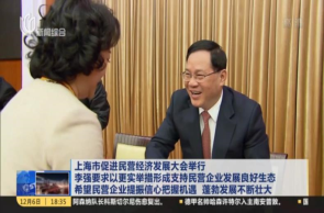 上海市促進民營經(jīng)濟發(fā)展大會舉行