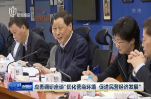 應(yīng)勇調(diào)研座談“優(yōu)化營(yíng)商環(huán)境 促進(jìn)民營(yíng)經(jīng)濟(jì)發(fā)展”